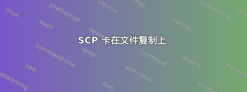 SCP 卡在文件复制上