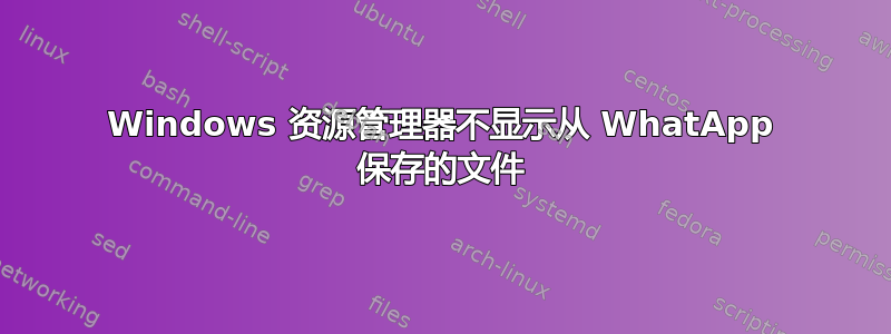 Windows 资源管理器不显示从 WhatApp 保存的文件