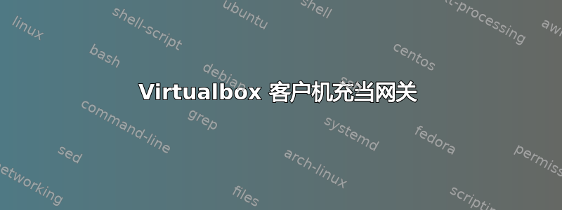 Virtualbox 客户机充当网关