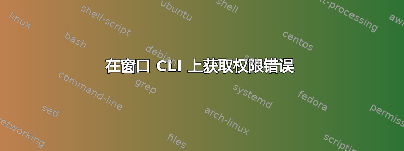 在窗口 CLI 上获取权限错误