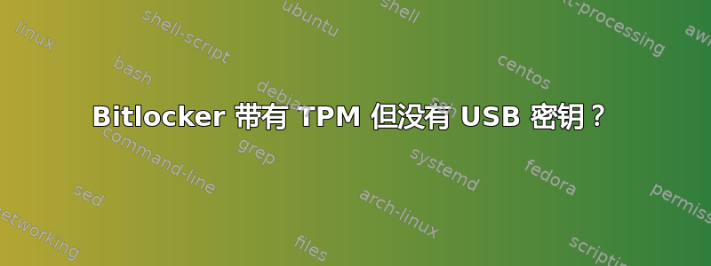 Bitlocker 带有 TPM 但没有 USB 密钥？