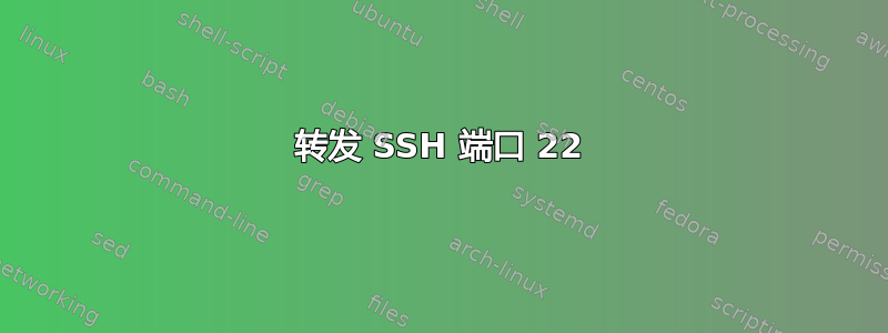 转发 SSH 端口 22