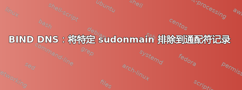 BIND DNS：将特定 sudonmain 排除到通配符记录