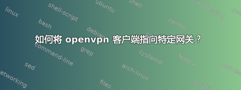 如何将 openvpn 客户端指向特定网关？