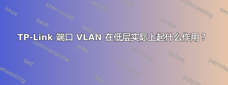 TP-Link 端口 VLAN 在低层实际上起什么作用？