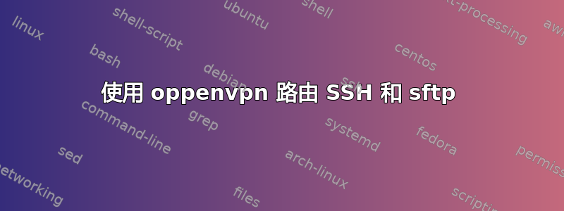使用 oppenvpn 路由 SSH 和 sftp