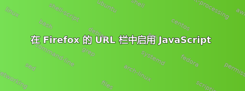 在 Firefox 的 URL 栏中启用 JavaScript