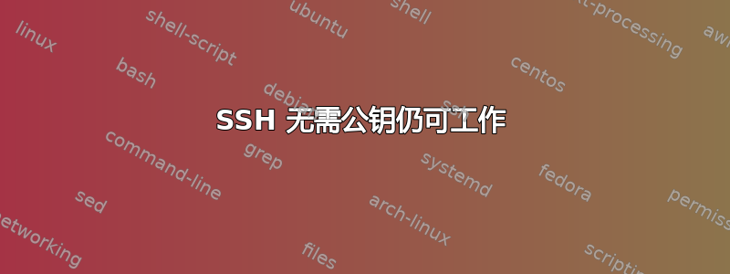 SSH 无需公钥仍可工作