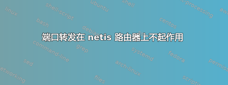 端口转发在 netis 路由器上不起作用