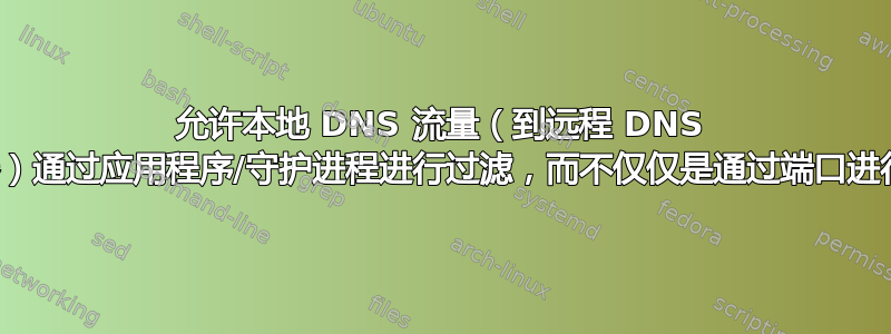 允许本地 DNS 流量（到远程 DNS 服务器）通过应用程序/守护进程进行过滤，而不仅仅是通过端口进行过滤