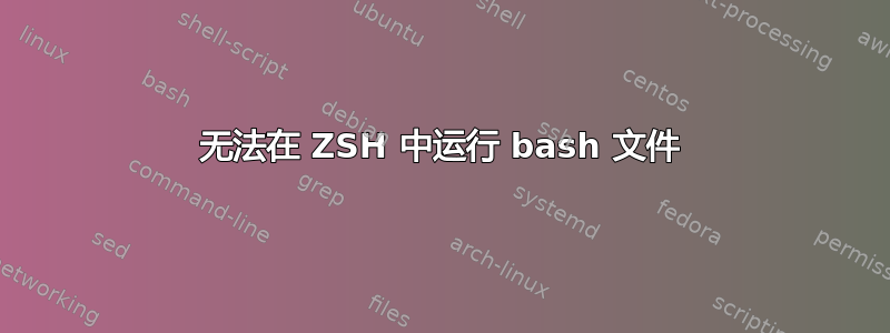 无法在 ZSH 中运行 bash 文件