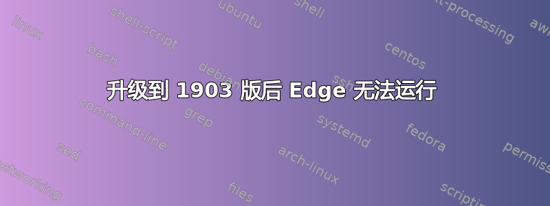 升级到 1903 版后 Edge 无法运行