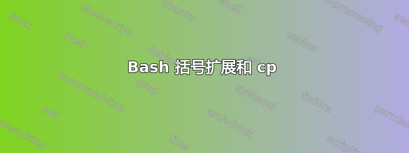 Bash 括号扩展和 cp