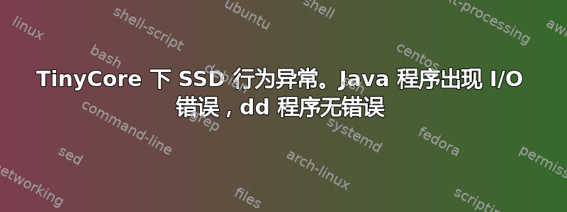 TinyCore 下 SSD 行为异常。Java 程序出现 I/O 错误，dd 程序无错误