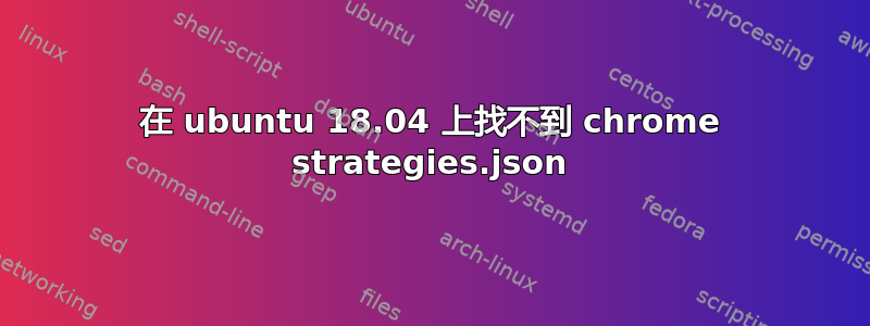 在 ubuntu 18.04 上找不到 chrome strategies.json