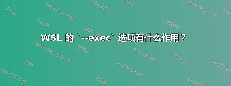 WSL 的 `--exec` 选项有什么作用？