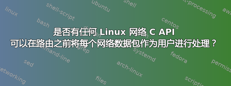 是否有任何 Linux 网络 C API 可以在路由之前将每个网络数据包作为用户进行处理？