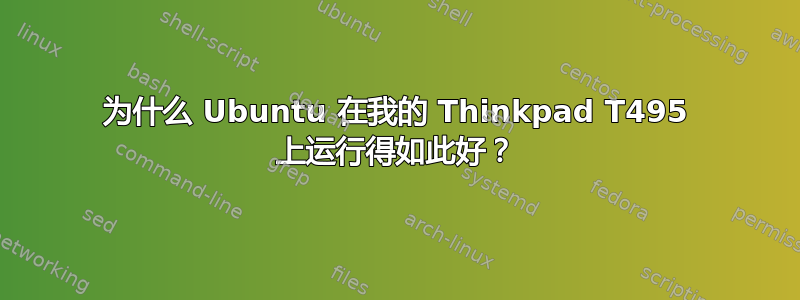 为什么 Ubuntu 在我的 Thinkpad T495 上运行得如此好？