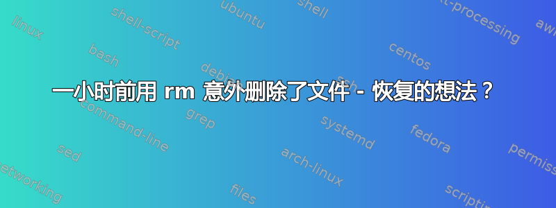 一小时前用 rm 意外删除了文件 - 恢复的想法？