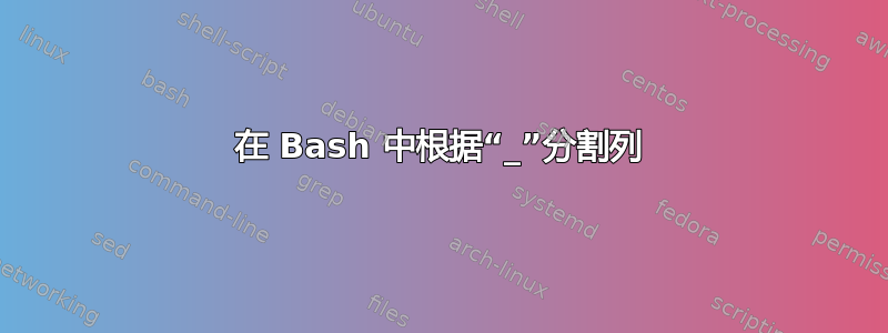 在 Bash 中根据“_”分割列