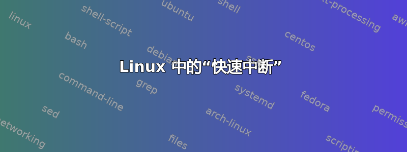 Linux 中的“快速中断”