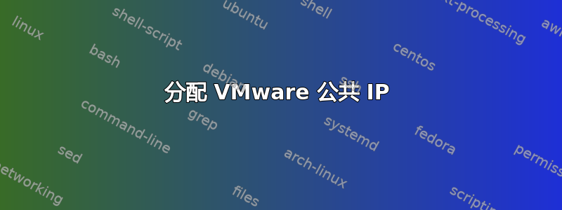 分配 VMware 公共 IP