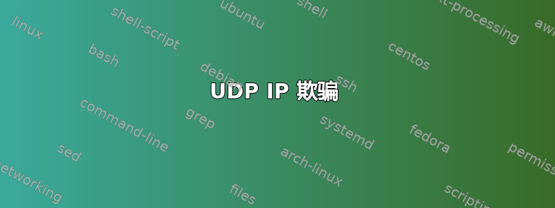 UDP IP 欺骗