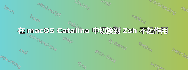 在 macOS Catalina 中切换到 Zsh 不起作用