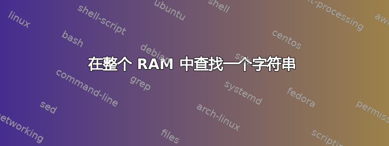 在整个 RAM 中查找一个字符串