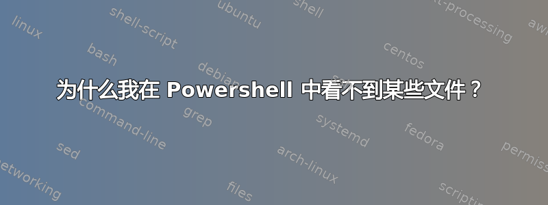 为什么我在 Powershell 中看不到某些文件？