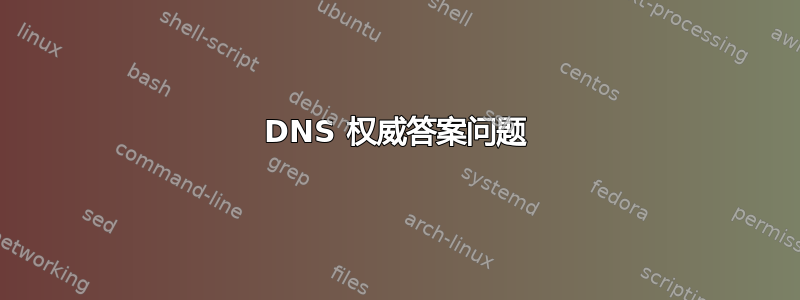 DNS 权威答案问题