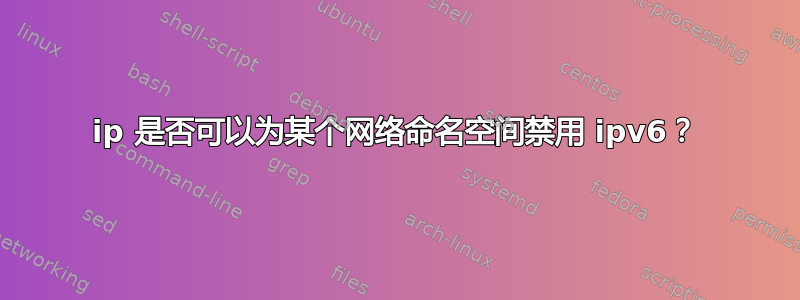 ip 是否可以为某个网络命名空间禁用 ipv6？