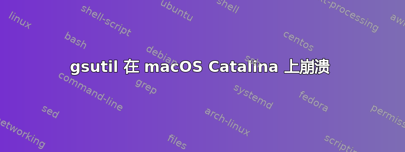 gsutil 在 macOS Catalina 上崩溃