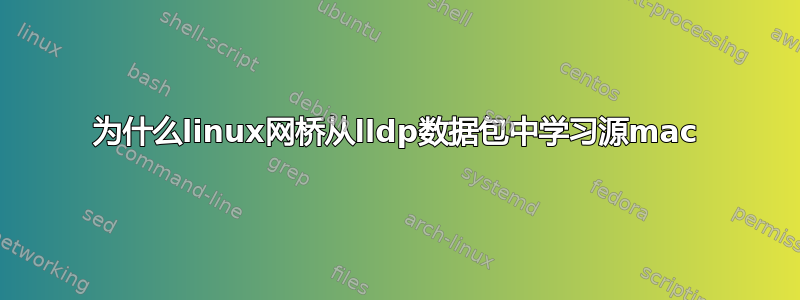 为什么linux网桥从lldp数据包中学习源mac