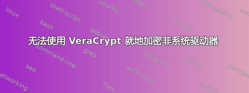 无法使用 VeraCrypt 就地加密非系统驱动器