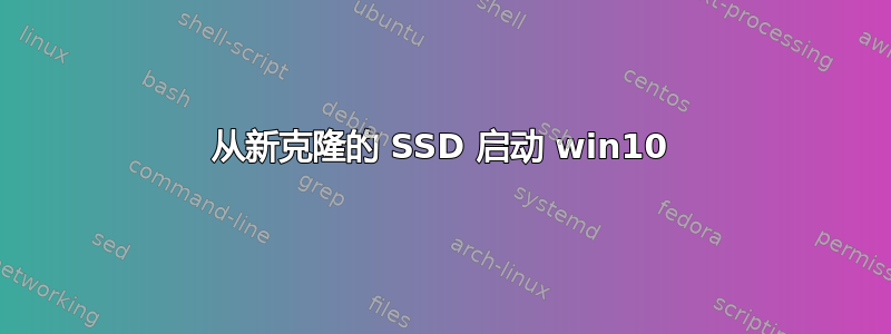 从新克隆的 SSD 启动 win10