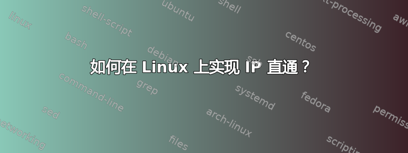 如何在 Linux 上实现 IP 直通？