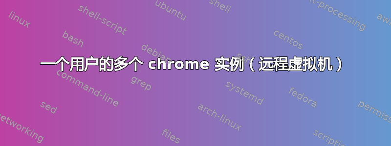 一个用户的多个 chrome 实例（远程虚拟机）