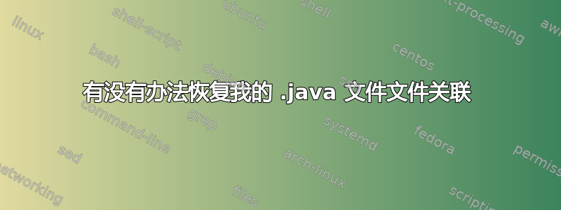 有没有办法恢复我的 .java 文件文件关联