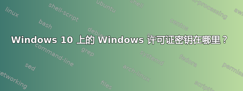 Windows 10 上的 Windows 许可证密钥在哪里？