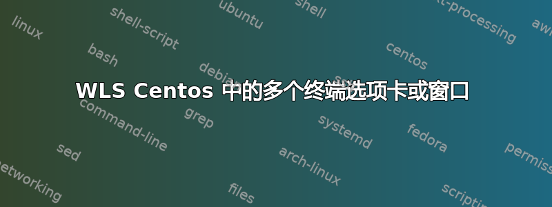 WLS Centos 中的多个终端选项卡或窗口