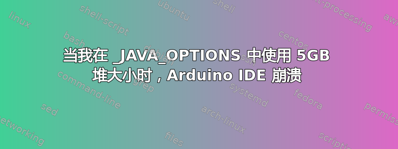 当我在 _JAVA_OPTIONS 中使用 5GB 堆大小时，Arduino IDE 崩溃