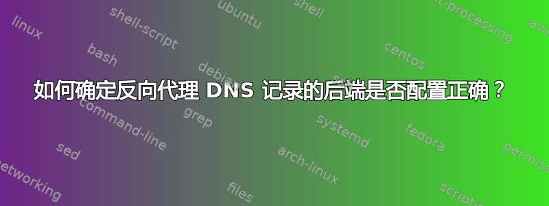 如何确定反向代理 DNS 记录的后端是否配置正确？