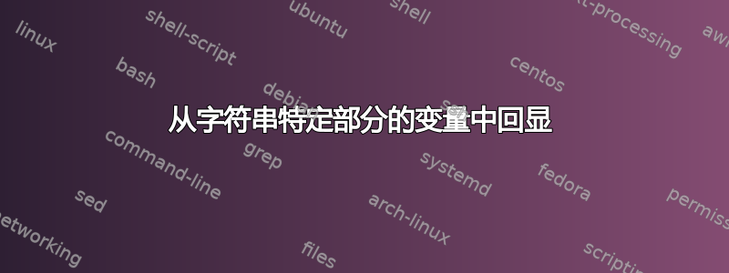 从字符串特定部分的变量中回显