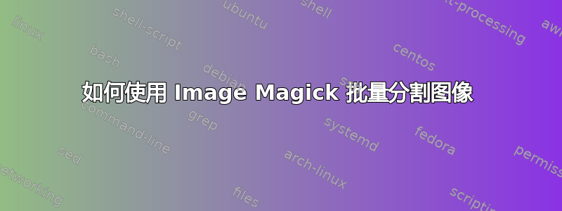 如何使用 Image Magick 批量分割图像