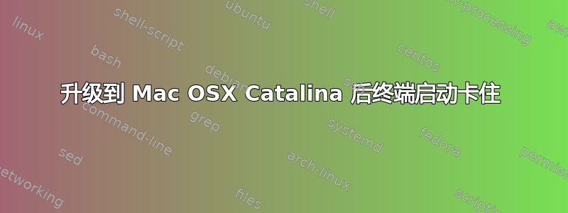 升级到 Mac OSX Catalina 后终端启动卡住