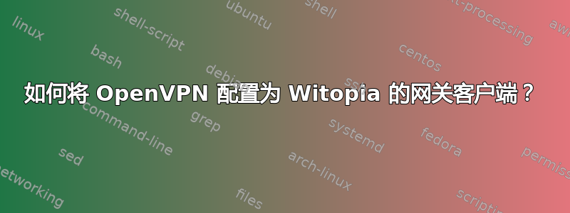 如何将 OpenVPN 配置为 Witopia 的网关客户端？