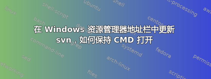 在 Windows 资源管理器地址栏中更新 svn，如何保持 CMD 打开