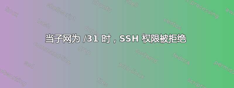 当子网为 /31 时，SSH 权限被拒绝
