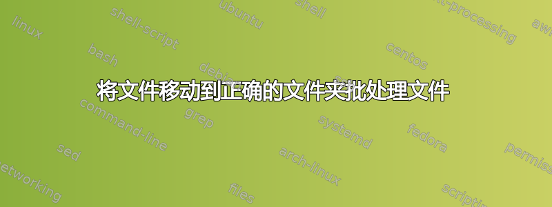 将文件移动到正确的文件夹批处理文件